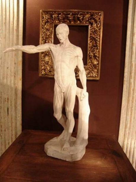 Plaster ecorche sculpture c.1920