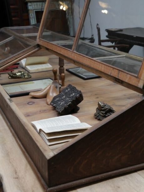 Museum oak display cabinet c.1900