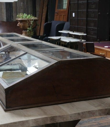 Museum oak display cabinet c.1900