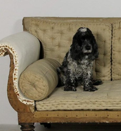 Large 19th century Regency Rosewood sofa from Thorpe Tilney Hall, Lincolnshire