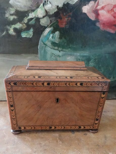 George IV parquetry banded walnut tea caddy c.1830