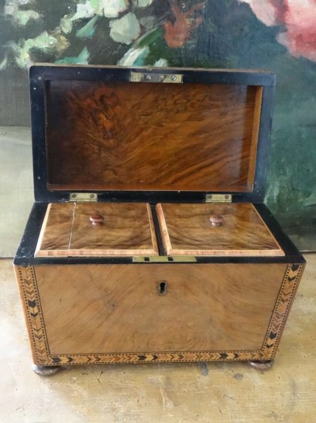 George IV parquetry banded walnut tea caddy c.1830