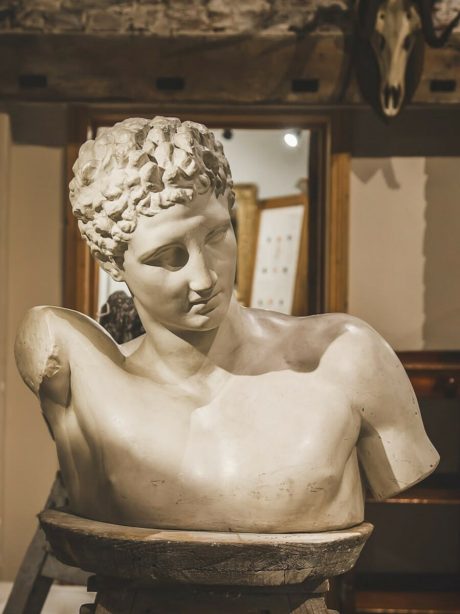Italian Plaster Classical Bust c.1880