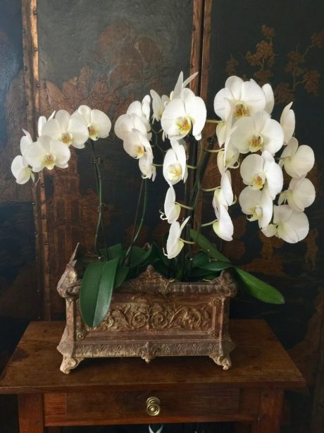 Antique French cast iron planter with lovely patination