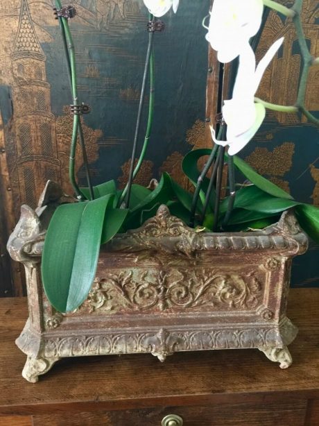 Antique French cast iron planter with lovely patination