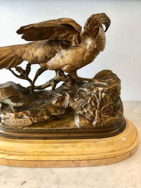 A bronze Golden pheasant on a marble base, signed J. Moigniez.