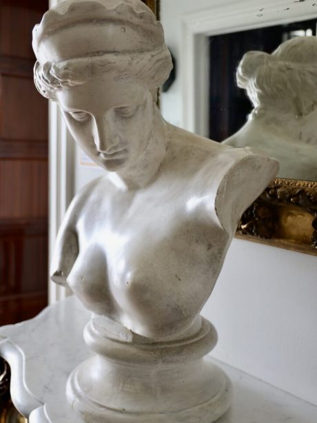 English mid century Plaster Bust of Venus of Capua