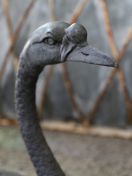 Early 20th century Bronze Swan