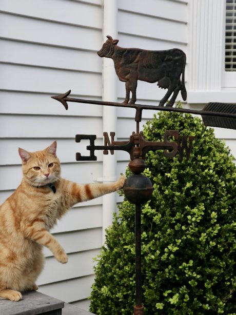 Early 20th Century weathervane