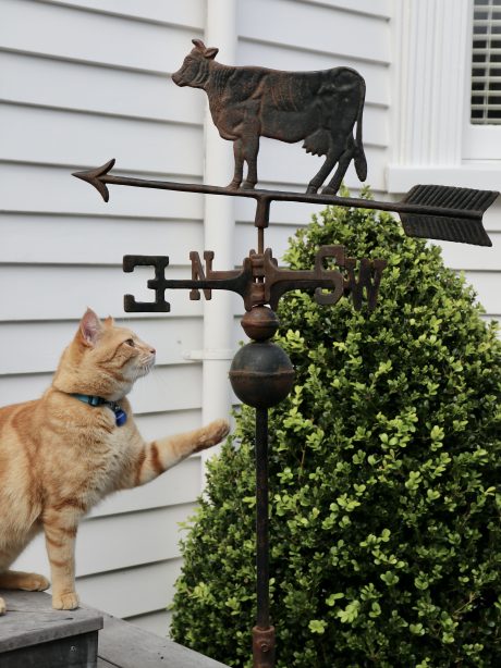 Early 20th Century weathervane