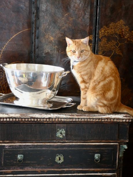 Silver metal champagne cooler and matching tray