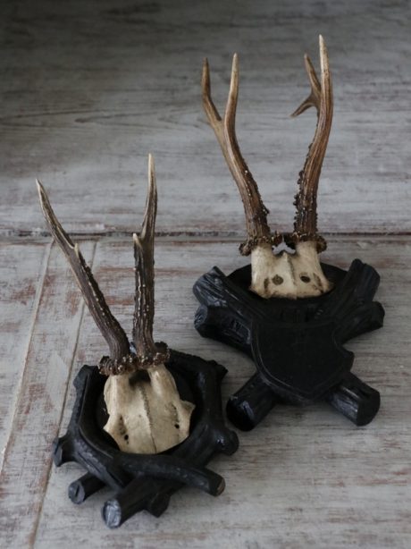Pair of Antique German Roe deer trophy mounts