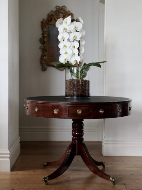 Antique English Mahogany library drum pedestal table